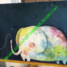 elephant Слоник MacBook Air 13.3 A1466 Air 13,3 New Pro Retina 13 Pro Retina 13 New